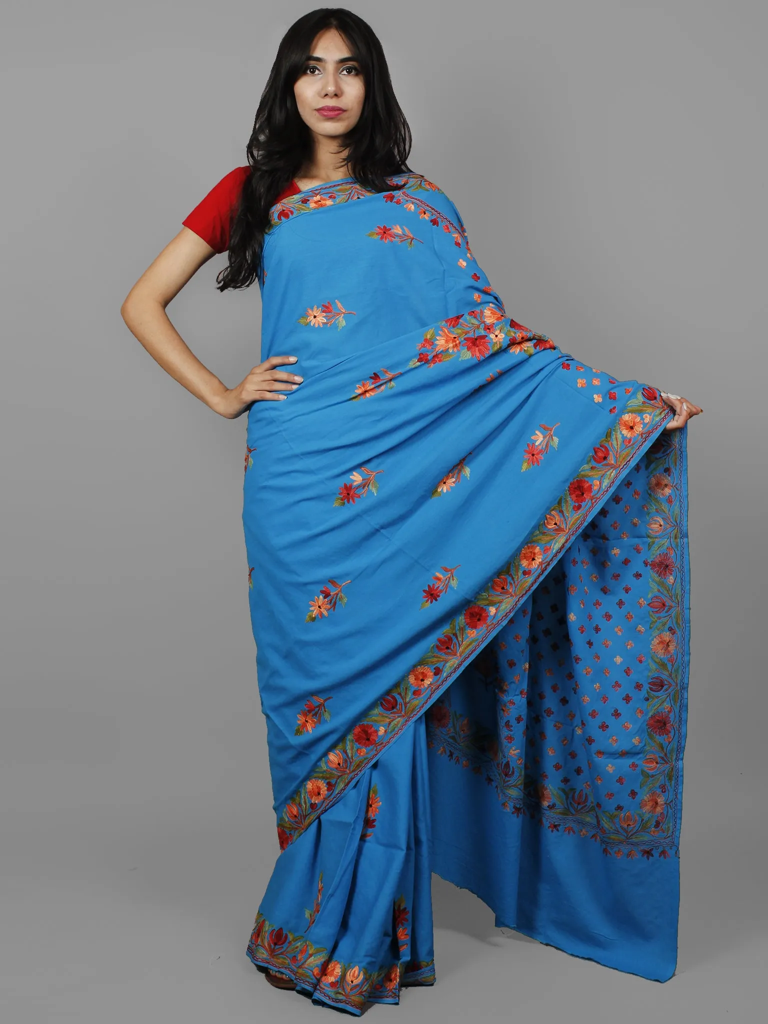 Cobalt Blue Brown Red Orange Aari Embroidered Cotton Saree From Kashmir  - S031702168