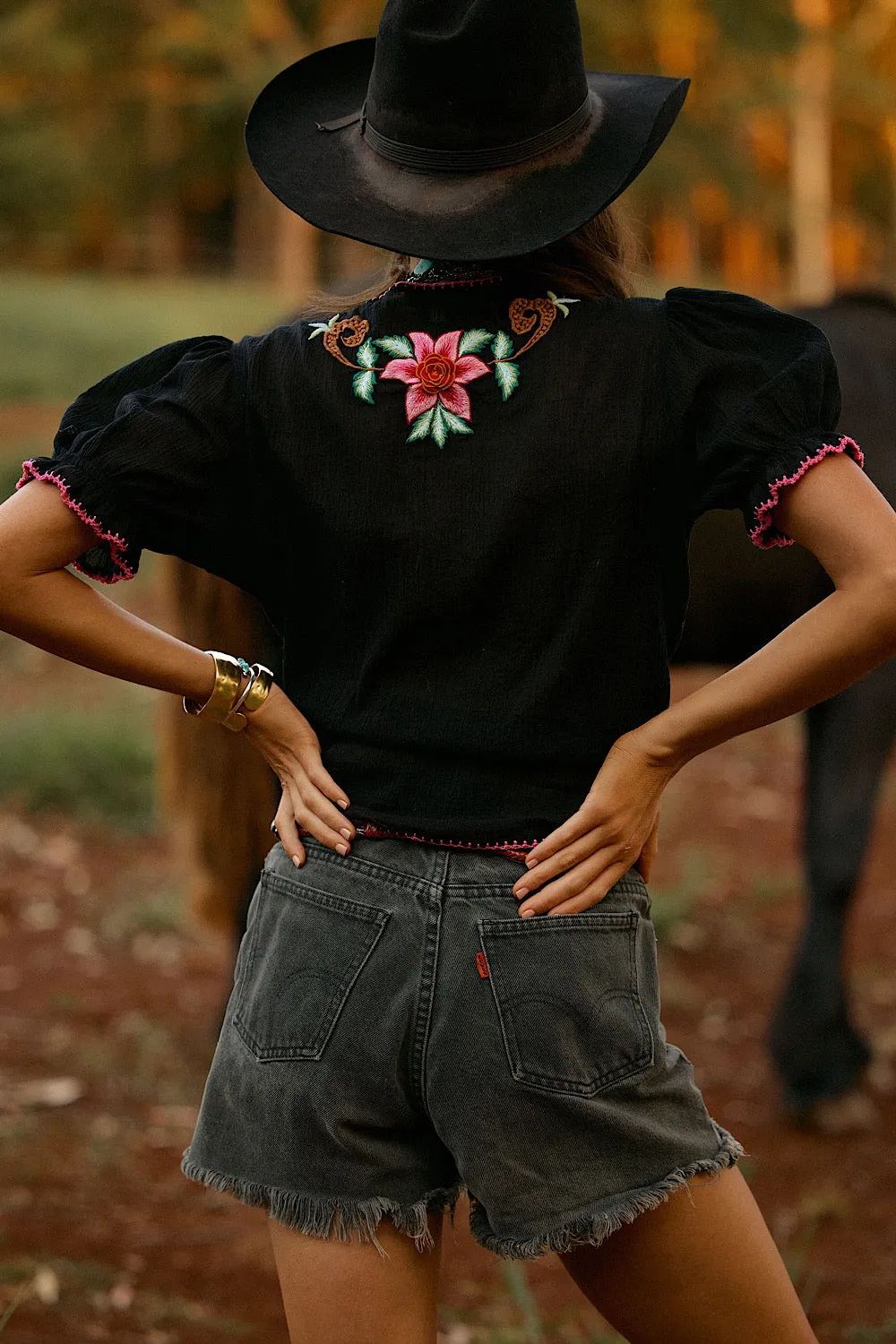 Song Of The Wind Embroidered Blouse